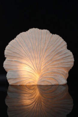 19.5" LARGE STRIPED FAN CORAL LAMP [480740] 